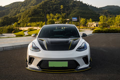 TESLA MODEL 3-006-GOT 201