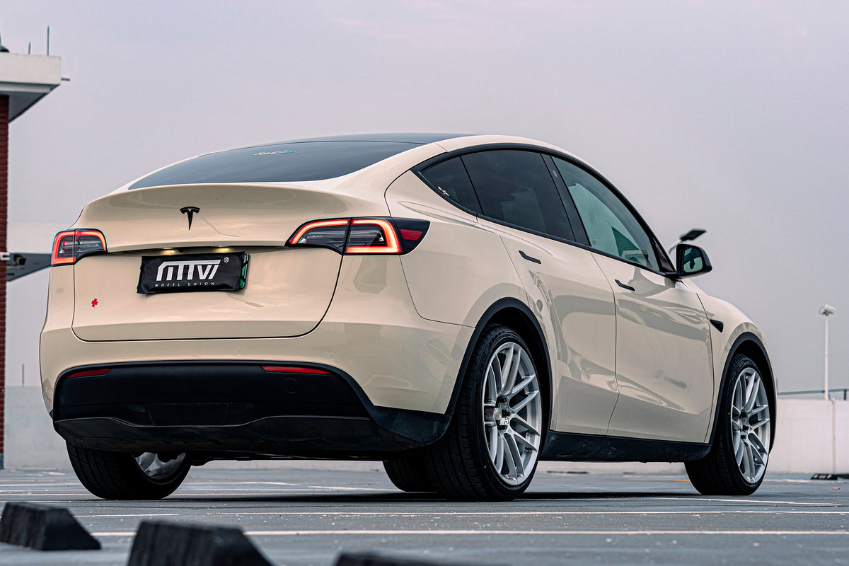 TESLA MODEL Y-002-FG CK70