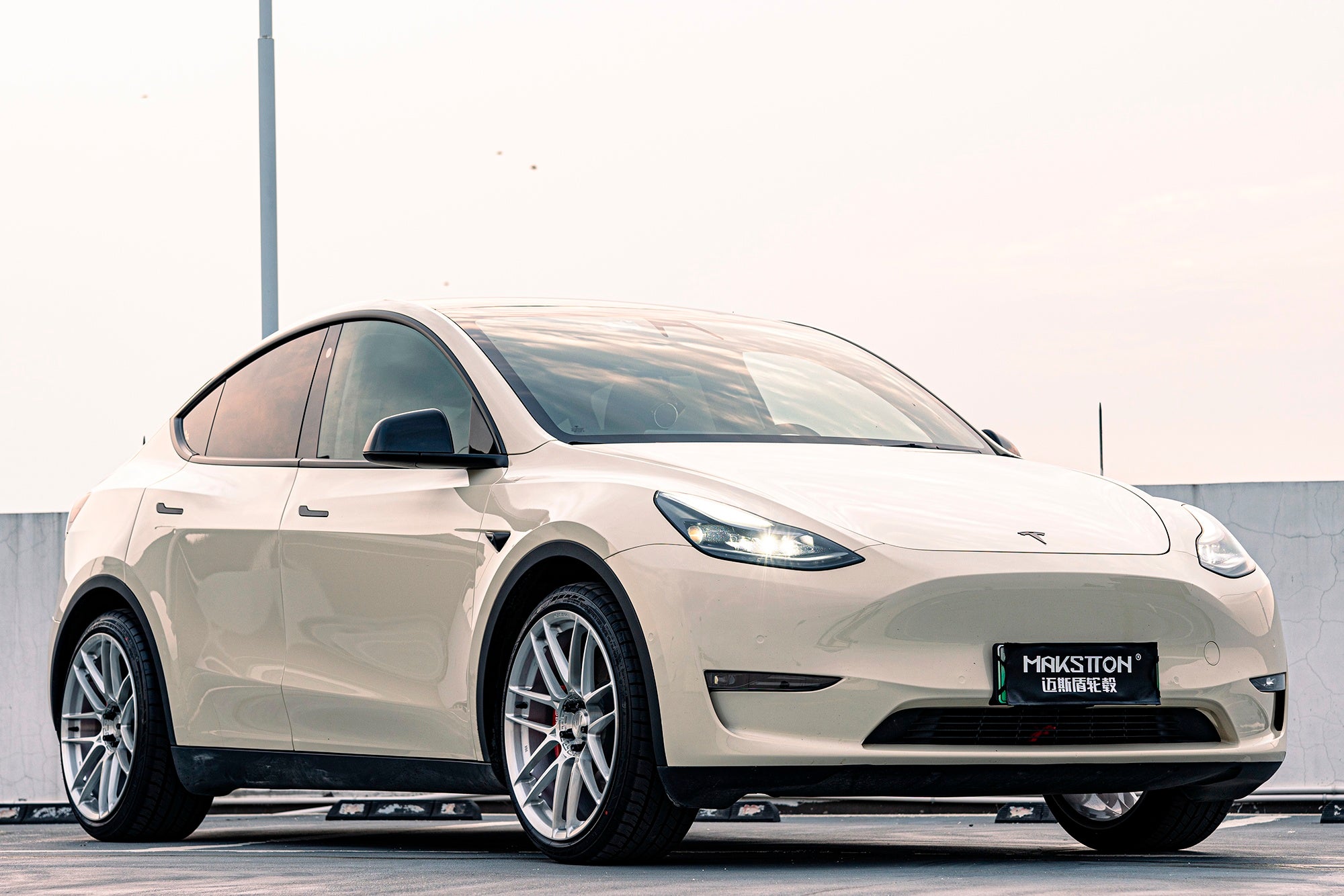 TESLA MODEL Y-003-FG CK70