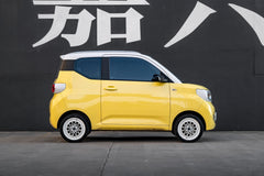 WULING HONGGUANG MINI EV-001-GOT 006