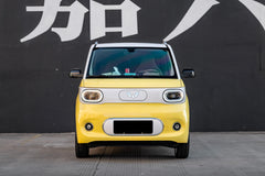 WULING HONGGUANG MINI EV-004-GOT 006