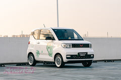 WULING HONGGUANG MINI EV-006-GOT 006