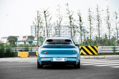 ZEEKR 007GT-005-FG MR6