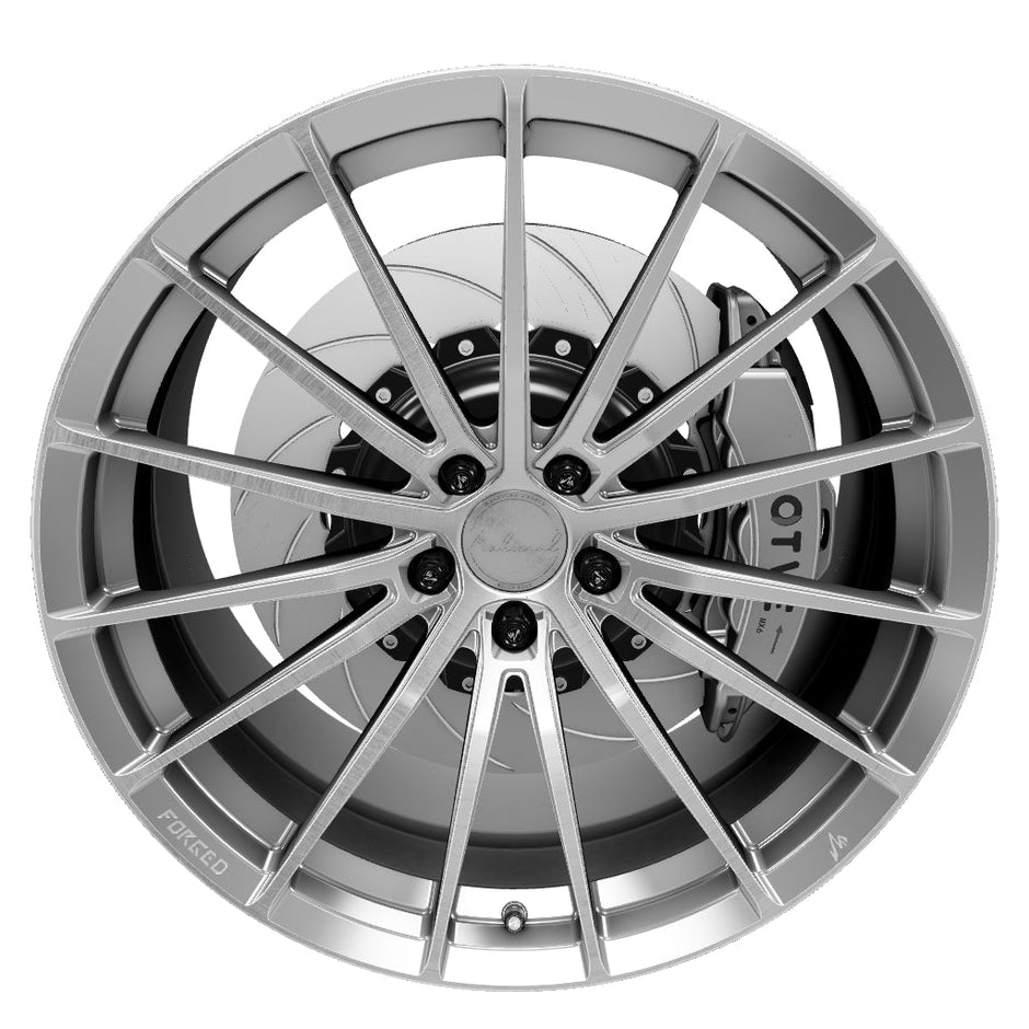FG ZY01